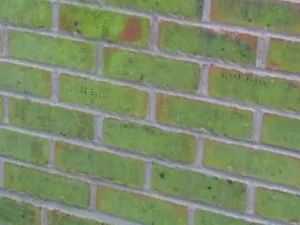 brick colour turning into green